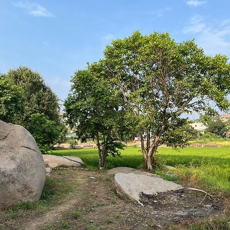 Sunrise Guest House & Restaurant Hampi Dış mekan fotoğraf