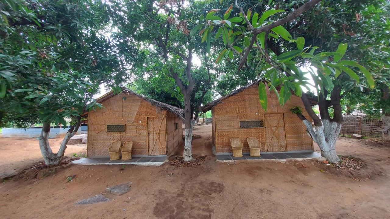 Sunrise Guest House & Restaurant Hampi Dış mekan fotoğraf