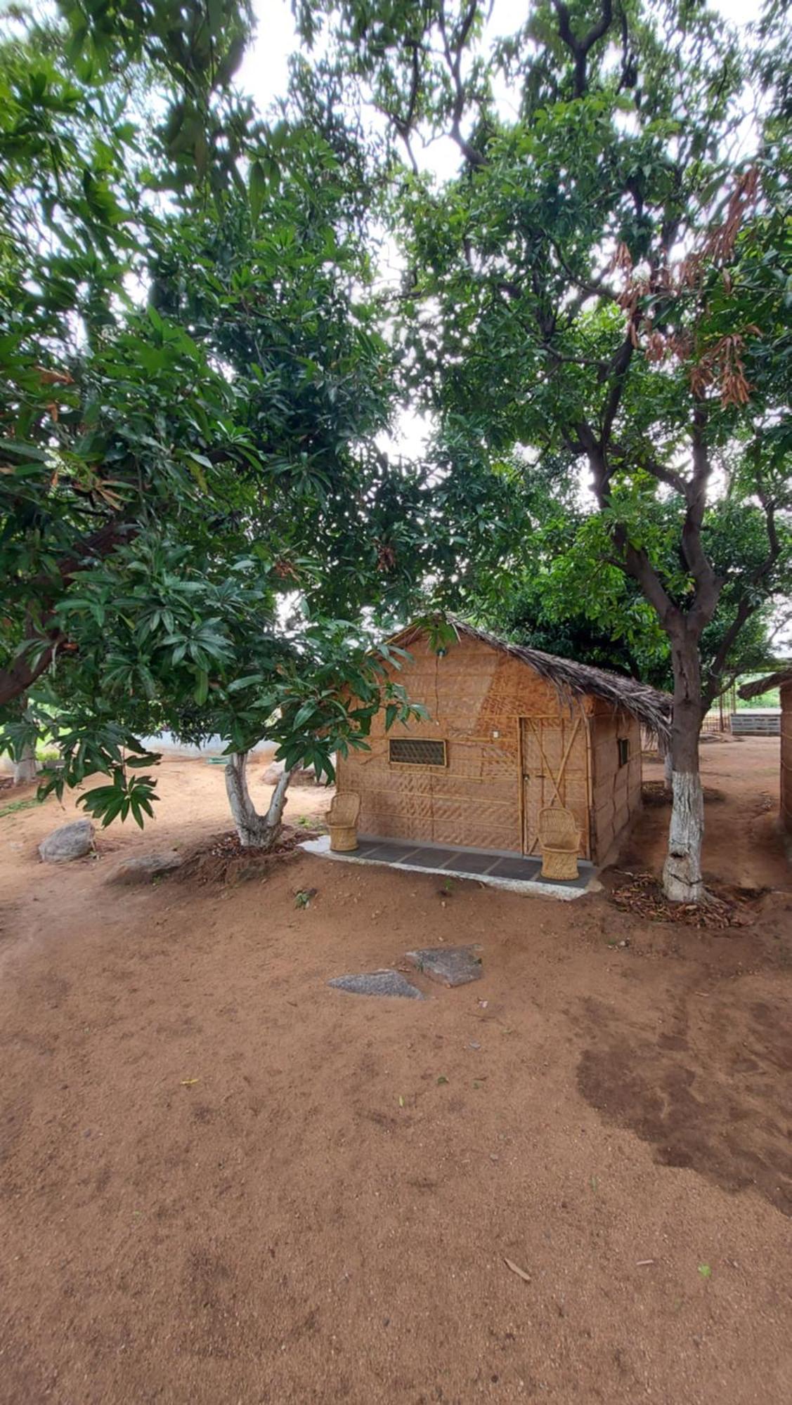 Sunrise Guest House & Restaurant Hampi Oda fotoğraf