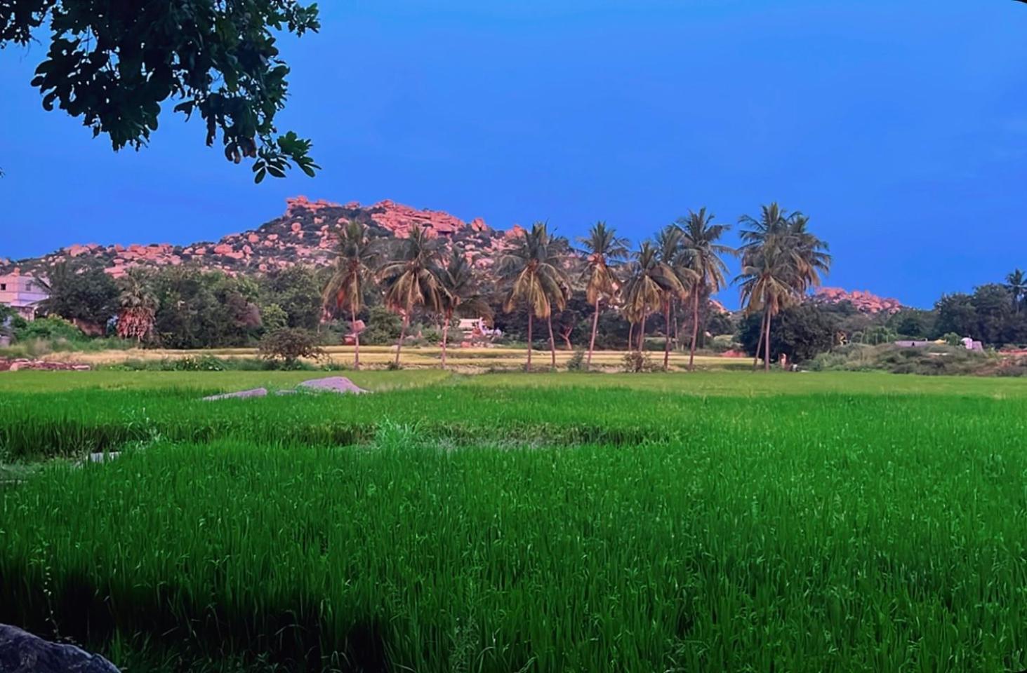 Sunrise Guest House & Restaurant Hampi Dış mekan fotoğraf